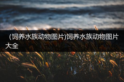 （饲养水族动物图片)饲养水族动物图片大全