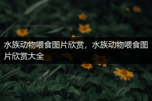 水族动物喂食图片欣赏，水族动物喂食图片欣赏大全