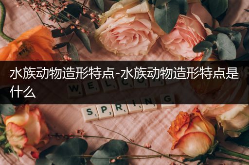 水族动物造形特点-水族动物造形特点是什么