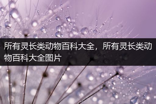 所有灵长类动物百科大全，所有灵长类动物百科大全图片