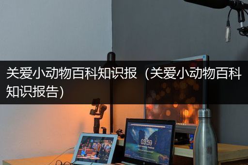 关爱小动物百科知识报（关爱小动物百科知识报告）