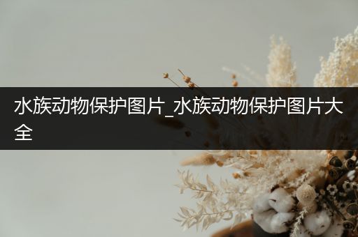 水族动物保护图片_水族动物保护图片大全