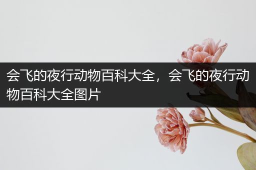 会飞的夜行动物百科大全，会飞的夜行动物百科大全图片