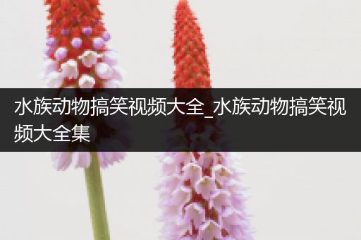 水族动物搞笑视频大全_水族动物搞笑视频大全集