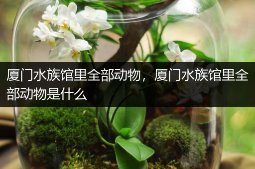 厦门水族馆里全部动物，厦门水族馆里全部动物是什么