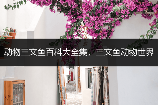 动物三文鱼百科大全集，三文鱼动物世界