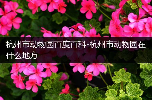 杭州市动物园百度百科-杭州市动物园在什么地方