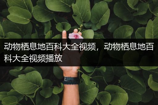 动物栖息地百科大全视频，动物栖息地百科大全视频播放