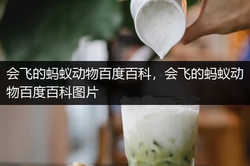 会飞的蚂蚁动物百度百科，会飞的蚂蚁动物百度百科图片