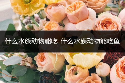 什么水族动物能吃_什么水族动物能吃鱼