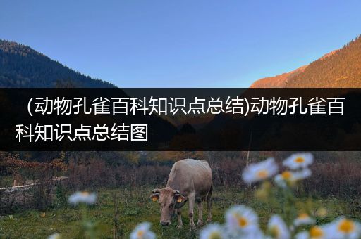 （动物孔雀百科知识点总结)动物孔雀百科知识点总结图