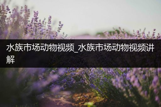 水族市场动物视频_水族市场动物视频讲解