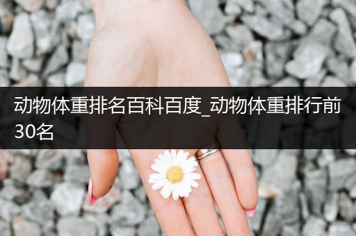 动物体重排名百科百度_动物体重排行前30名