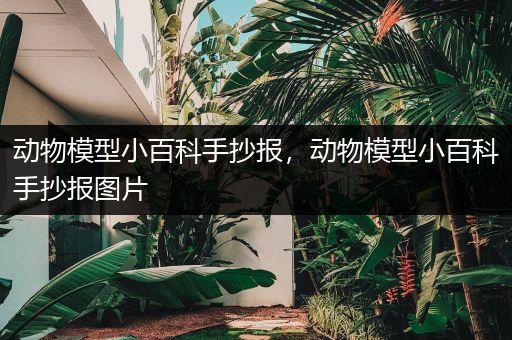 动物模型小百科手抄报，动物模型小百科手抄报图片