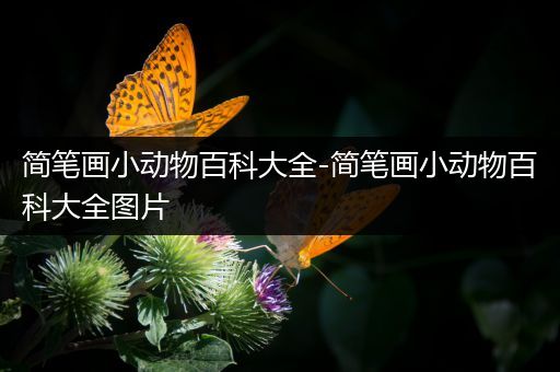 简笔画小动物百科大全-简笔画小动物百科大全图片
