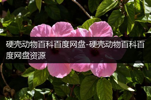 硬壳动物百科百度网盘-硬壳动物百科百度网盘资源