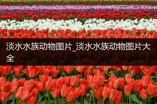 淡水水族动物图片_淡水水族动物图片大全
