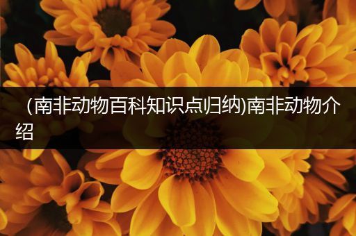 （南非动物百科知识点归纳)南非动物介绍
