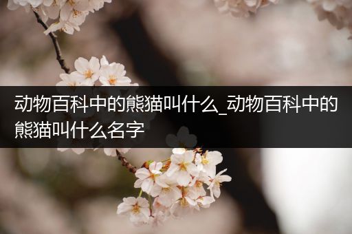 动物百科中的熊猫叫什么_动物百科中的熊猫叫什么名字