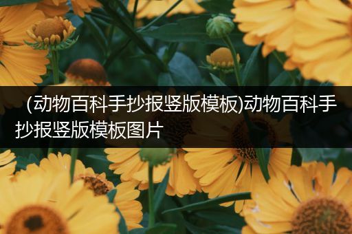 （动物百科手抄报竖版模板)动物百科手抄报竖版模板图片