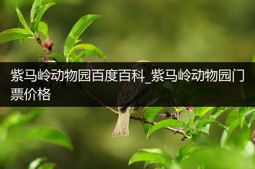 紫马岭动物园百度百科_紫马岭动物园门票价格
