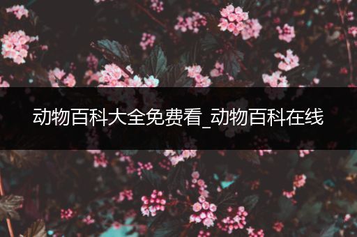 动物百科大全免费看_动物百科在线
