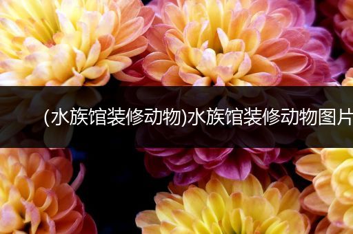 （水族馆装修动物)水族馆装修动物图片