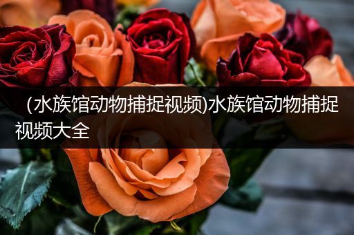 （水族馆动物捕捉视频)水族馆动物捕捉视频大全