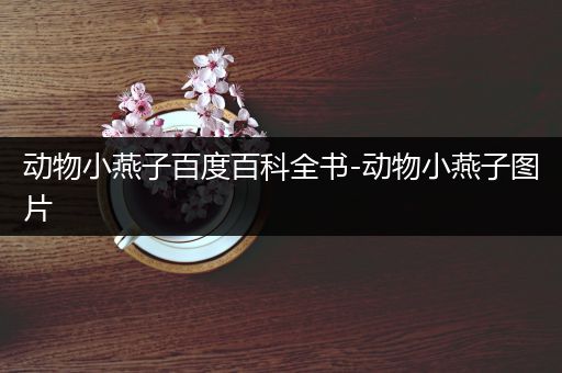 动物小燕子百度百科全书-动物小燕子图片
