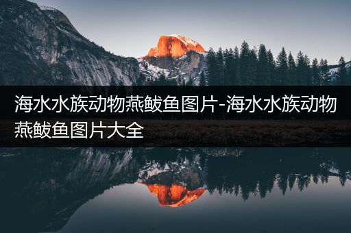 海水水族动物燕鲅鱼图片-海水水族动物燕鲅鱼图片大全