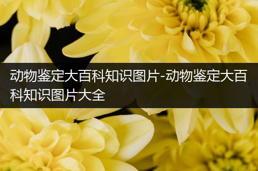 动物鉴定大百科知识图片-动物鉴定大百科知识图片大全