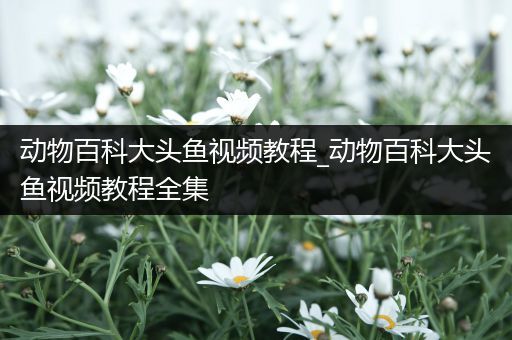 动物百科大头鱼视频教程_动物百科大头鱼视频教程全集