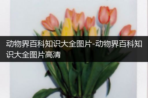 动物界百科知识大全图片-动物界百科知识大全图片高清