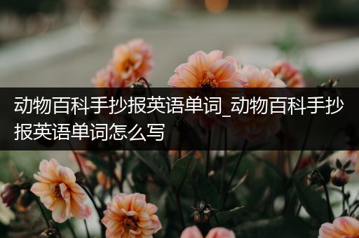 动物百科手抄报英语单词_动物百科手抄报英语单词怎么写