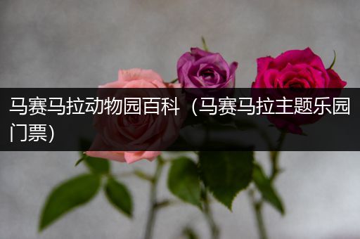 马赛马拉动物园百科（马赛马拉主题乐园门票）