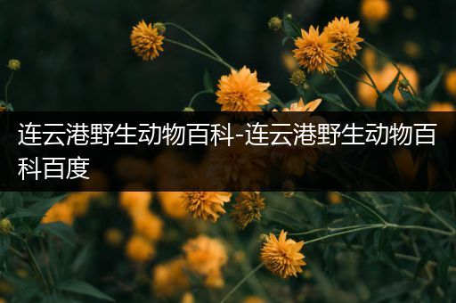 连云港野生动物百科-连云港野生动物百科百度