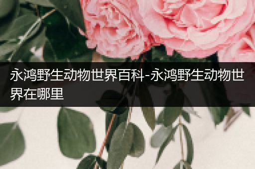 永鸿野生动物世界百科-永鸿野生动物世界在哪里