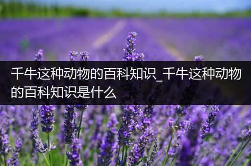 千牛这种动物的百科知识_千牛这种动物的百科知识是什么