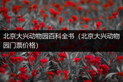 北京大兴动物园百科全书（北京大兴动物园门票价格）