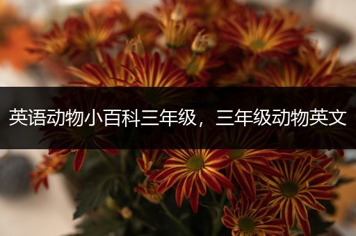 英语动物小百科三年级，三年级动物英文