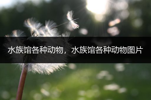 水族馆各种动物，水族馆各种动物图片