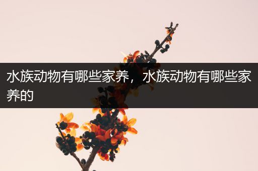 水族动物有哪些家养，水族动物有哪些家养的