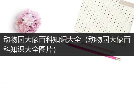 动物园大象百科知识大全（动物园大象百科知识大全图片）