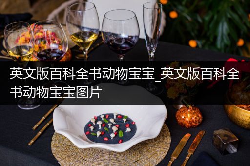 英文版百科全书动物宝宝_英文版百科全书动物宝宝图片