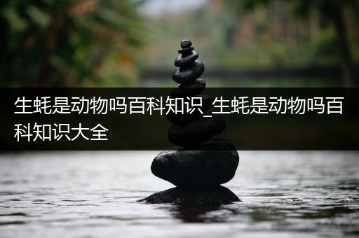 生蚝是动物吗百科知识_生蚝是动物吗百科知识大全