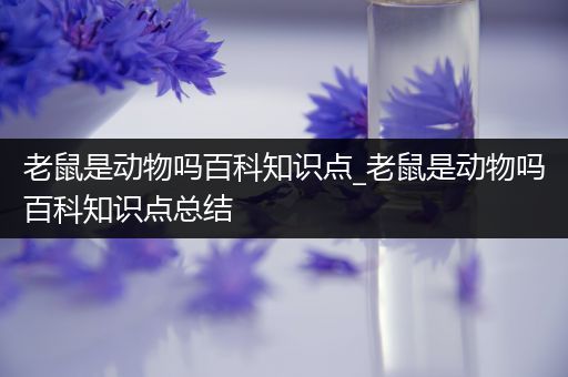 老鼠是动物吗百科知识点_老鼠是动物吗百科知识点总结