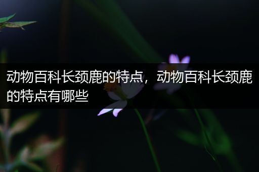 动物百科长颈鹿的特点，动物百科长颈鹿的特点有哪些