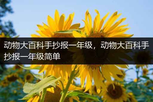 动物大百科手抄报一年级，动物大百科手抄报一年级简单