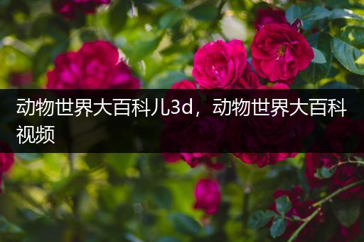 动物世界大百科儿3d，动物世界大百科视频