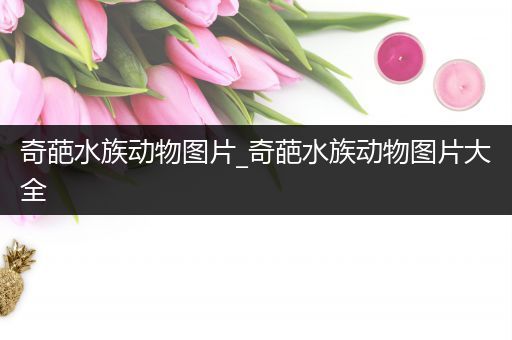 奇葩水族动物图片_奇葩水族动物图片大全